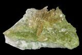 Vesuvianite & Diopside Crystal Cluster - Jeffrey Mine, Canada #134428-2